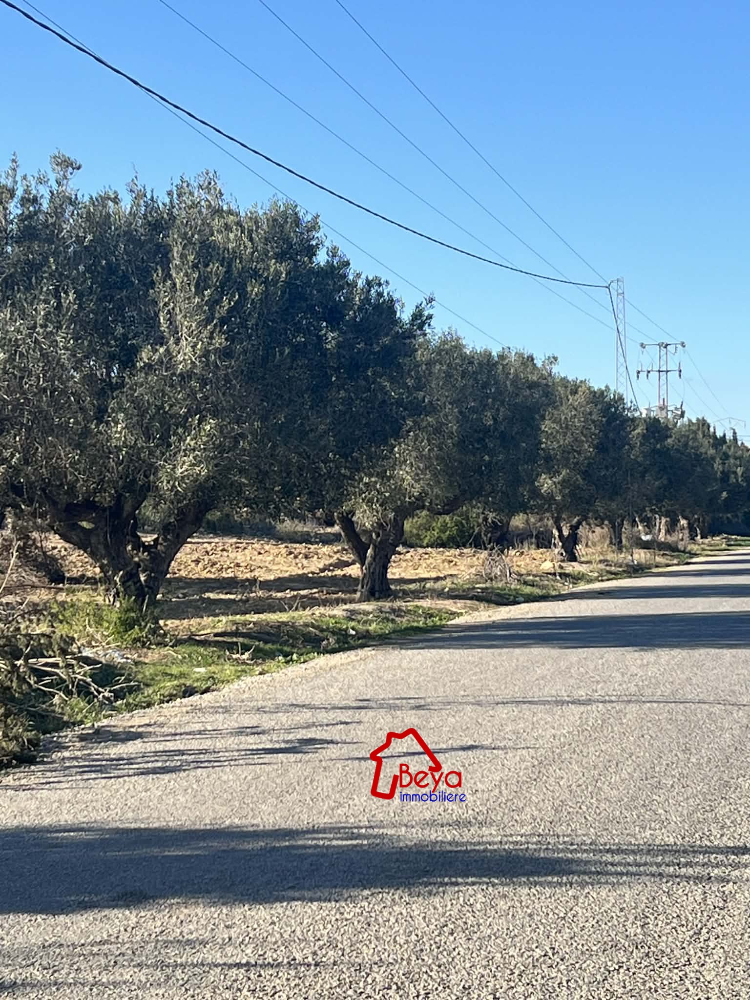 Beni Khiar Somaa Terrain Terrain agricole Terrain jiji  vtm105