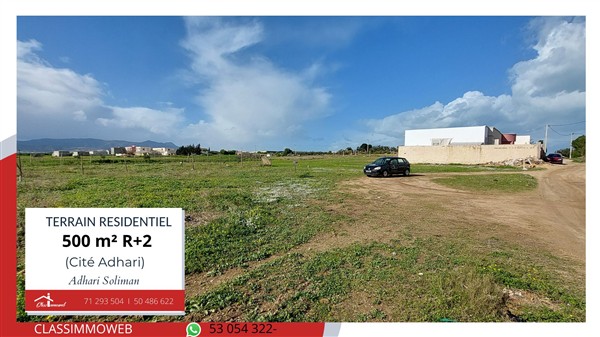 Soliman&nbsp;Dhahri&nbsp;Terrain&nbsp;Terrain nu&nbsp;Terrain de 500 m2 � 200 dt le m2