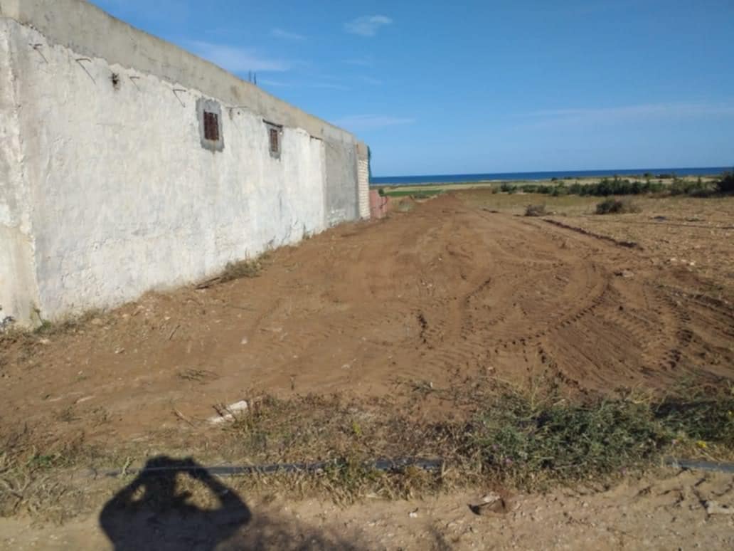 El Haouaria&nbsp;El Haouaria&nbsp;Terrain&nbsp;Terrain nu&nbsp;Offre chat kebli hawaria