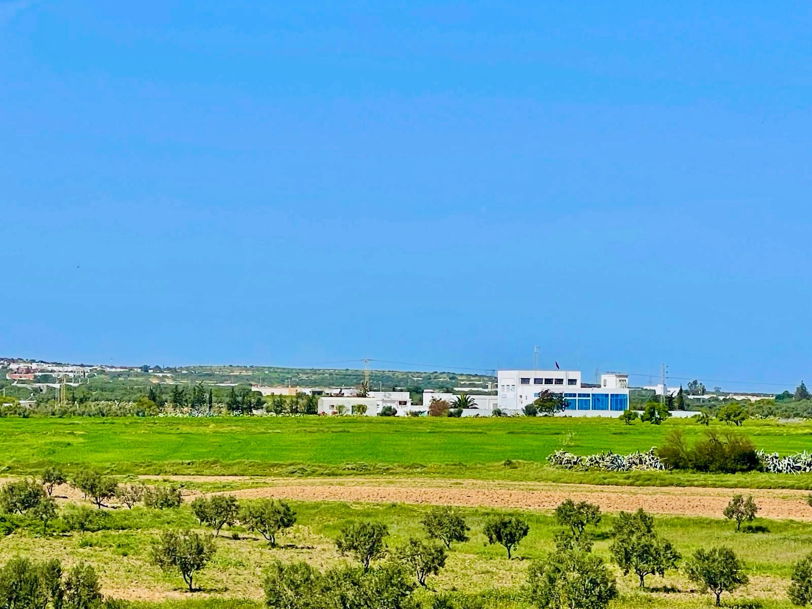 Bou Ficha&nbsp;Bou Ficha&nbsp;Terrain&nbsp;Terrain nu&nbsp;Prix raisonnable bouficha