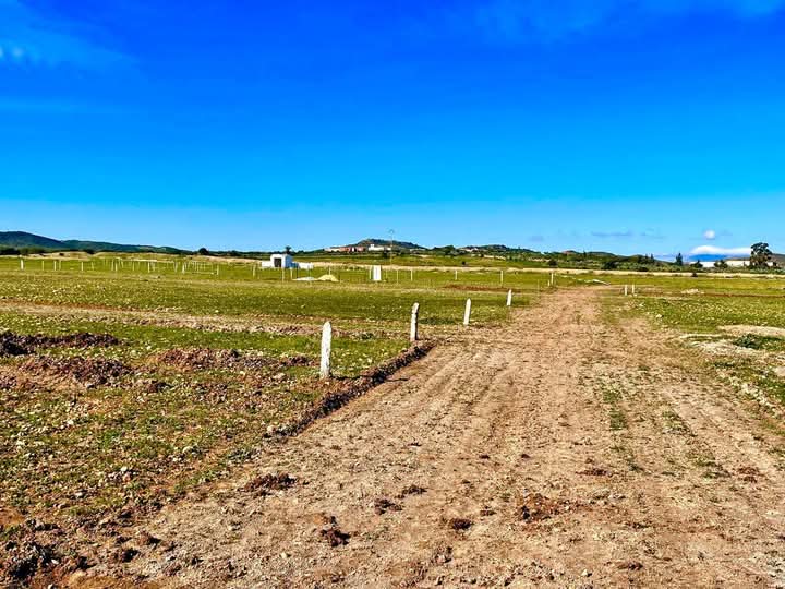 Bou Ficha&nbsp;Bou Ficha&nbsp;Terrain&nbsp;Terrain nu&nbsp;Bouficha offre terrain