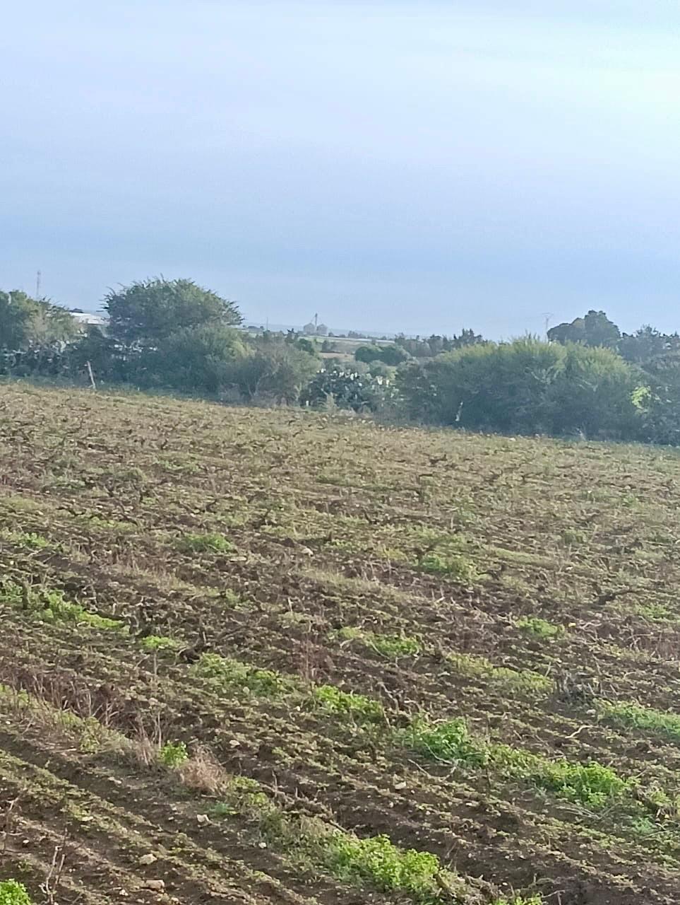 Kelibia&nbsp;Kelibia&nbsp;Terrain&nbsp;Terrain nu&nbsp;Kelibia terrain