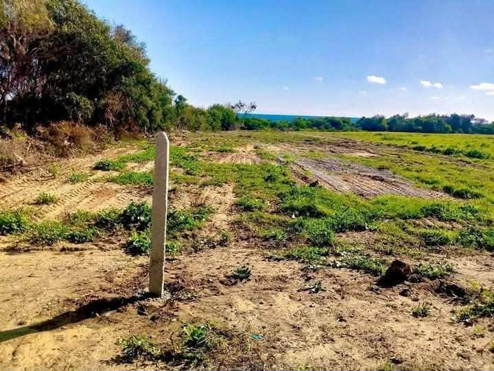 Kelibia&nbsp;Kerkouane&nbsp;Terrain&nbsp;Terrain nu&nbsp;Kerkwen terrain pieds dans l'eau