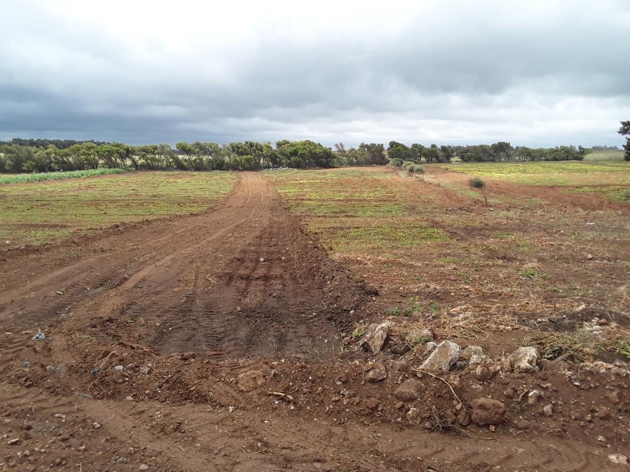 El Haouaria&nbsp;El Haouaria&nbsp;Terrain&nbsp;Terrain nu&nbsp;Terrain hawaria avec facilit� a 3 ans