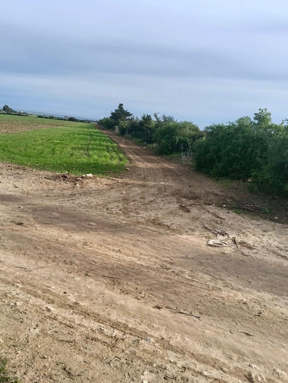 Kelibia&nbsp;Kelibia&nbsp;Terrain&nbsp;Terrain nu&nbsp;Terrain hawaria 23000