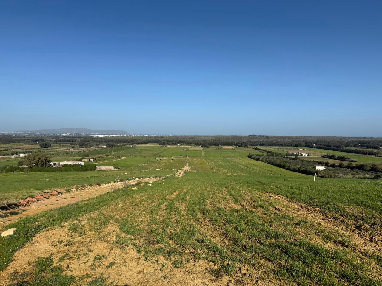 Kelibia&nbsp;Azmour&nbsp;Terrain&nbsp;Terrain nu&nbsp;Azmour 200m