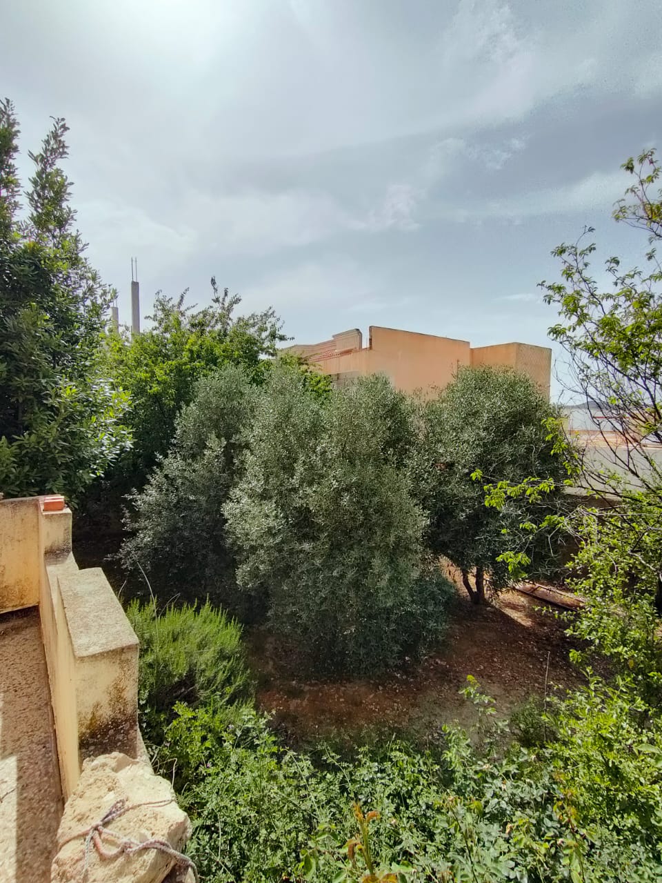 Makthar&nbsp;Makthar&nbsp;Vente&nbsp;Maisons&nbsp;Gps  villa spacieuse sur avenue � makthar