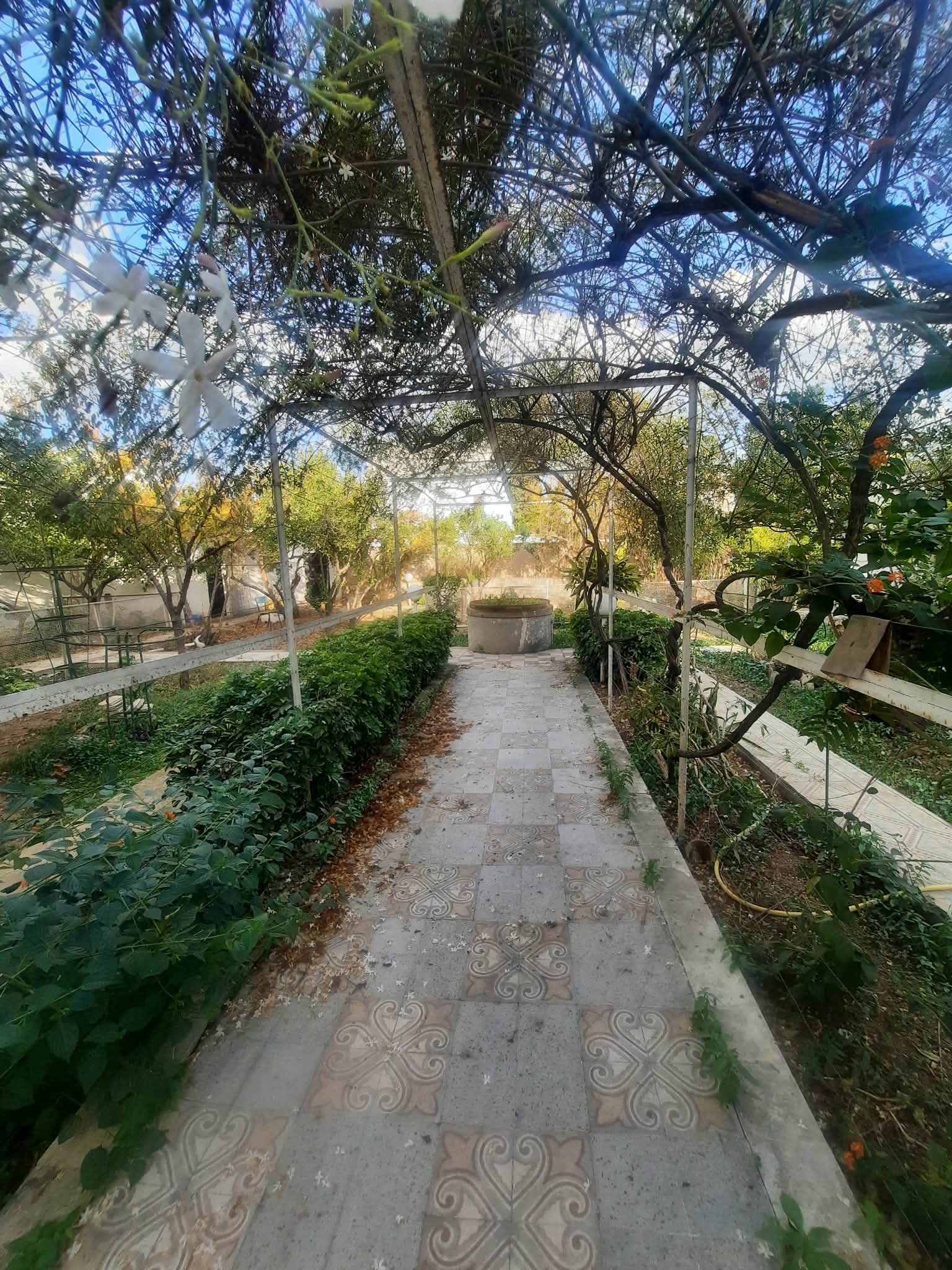 Le Bardo&nbsp;Le Bardo&nbsp;Terrain&nbsp;Terrain nu&nbsp;Pour promoteur