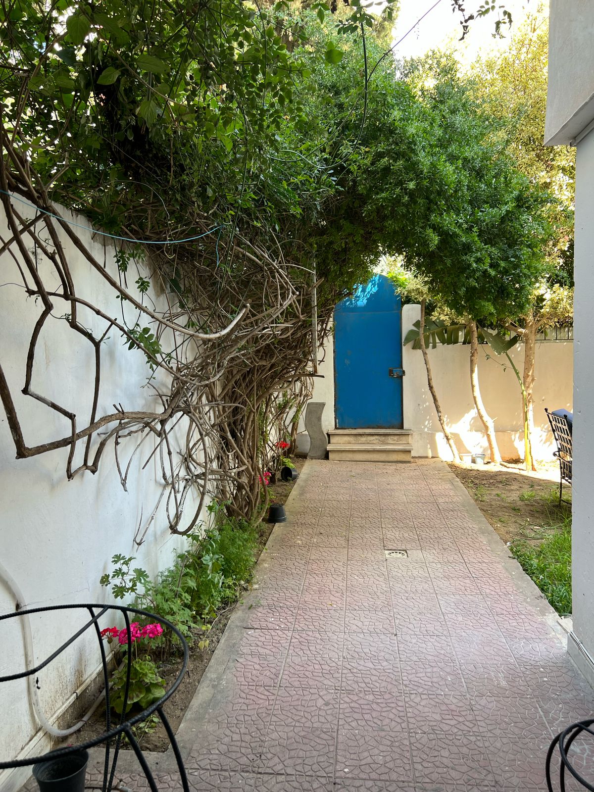 La Soukra&nbsp;Cite Elyes&nbsp;Location&nbsp;Appart. 3 pi�ces&nbsp;Beau rdj s2 meubl� avec grand jardin