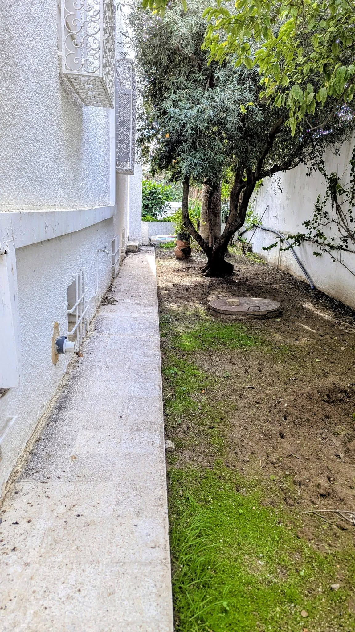 Ariana Ville&nbsp;El Menzah 7&nbsp;Vente&nbsp;Maisons&nbsp;Villa habitable de suite