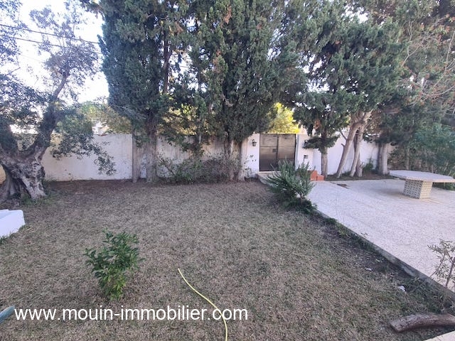 Hammamet&nbsp;Hammamet&nbsp;Location&nbsp;Maisons&nbsp;Villa olivia al3673 hammamet zone theatre