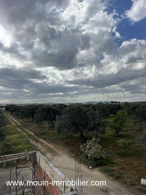 Hammamet&nbsp;Sidi Jedidi&nbsp;Terrain&nbsp;Terrain agricole&nbsp;Terrain claudia douikhla hammamet sud t1219