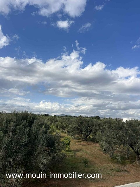 Hammamet&nbsp;Sidi Jedidi&nbsp;Terrain&nbsp;Terrain agricole&nbsp;Terrain claudia douikhla hammamet sud t1219