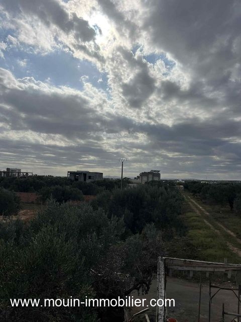 Hammamet&nbsp;Sidi Jedidi&nbsp;Terrain&nbsp;Terrain agricole&nbsp;Terrain claudia douikhla hammamet sud t1219