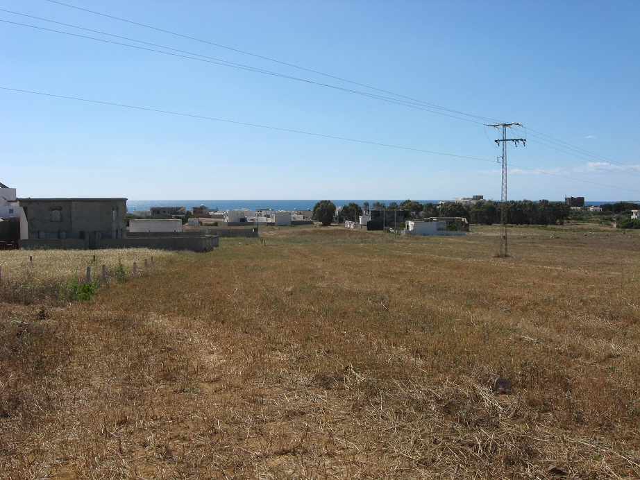 El Haouaria&nbsp;El Haouaria&nbsp;Terrain&nbsp;Terrain nu&nbsp;Terrain constructible cit� touristique el haouaria