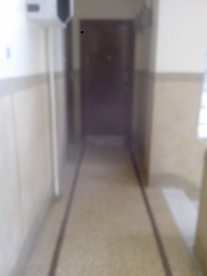 Bab Bhar&nbsp;Bab Bhar&nbsp;Location&nbsp;Appart. 2 pi�ces&nbsp;Rue de palestine lafayette tunis