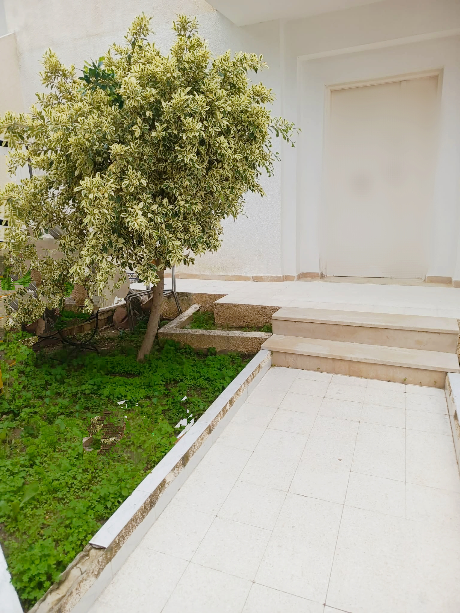 Ariana Ville&nbsp;Cite Ennasr 2&nbsp;Location&nbsp;Maisons&nbsp;Ennasr rdc villa s 3 avec jardin et terrasse