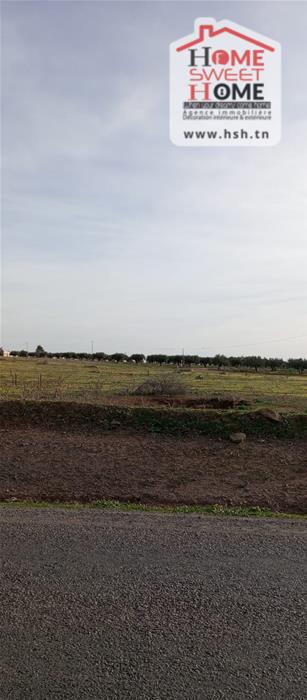 Borj El Amri&nbsp;Borj El Amri&nbsp;Terrain&nbsp;Terrain agricole&nbsp;Terrain agricole verterra � borj el amri