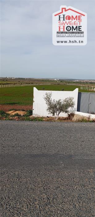 Borj El Amri&nbsp;Borj El Amri&nbsp;Terrain&nbsp;Terrain agricole&nbsp;Terrain agricole arable � borj el amri