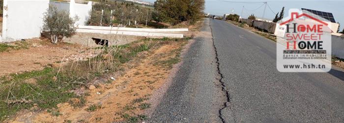 Borj El Amri&nbsp;Borj El Amri&nbsp;Terrain&nbsp;Terrain agricole&nbsp;Terrain agricole arable � borj el amri