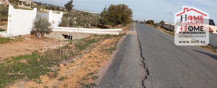 Borj El Amri&nbsp;Borj El Amri&nbsp;Terrain&nbsp;Terrain agricole&nbsp;Terrain agricole arable � borj el amri