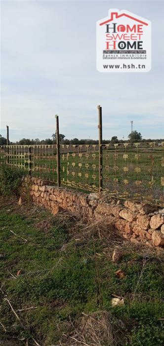 Borj El Amri&nbsp;Borj El Amri&nbsp;Terrain&nbsp;Terrain agricole&nbsp;Terrain agricole solys � borj el amri