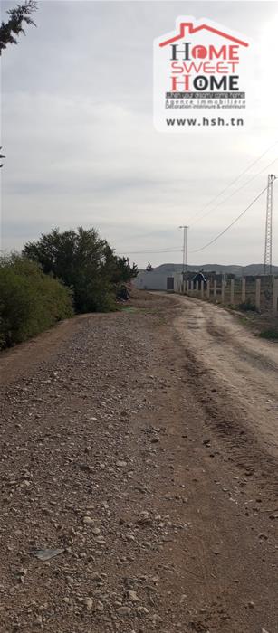 Borj El Amri&nbsp;Borj El Amri&nbsp;Terrain&nbsp;Terrain agricole&nbsp;Terrain agricole arvia � borj el amri