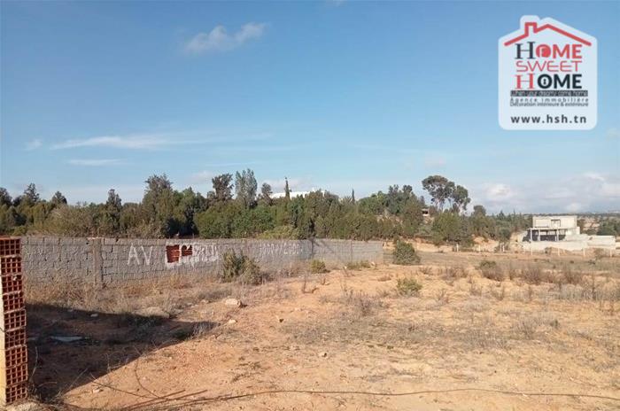 Hammamet&nbsp;Bir Bouregba&nbsp;Terrain&nbsp;Terrain agricole&nbsp;Terrain villa vilora � bir bouregba hammamet