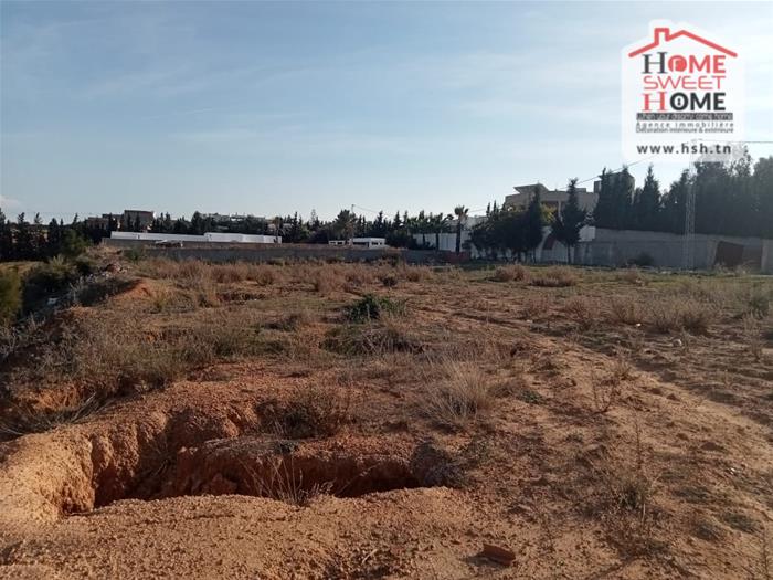 Hammamet&nbsp;Bir Bouregba&nbsp;Terrain&nbsp;Terrain agricole&nbsp;Terrain villa vilora � bir bouregba hammamet