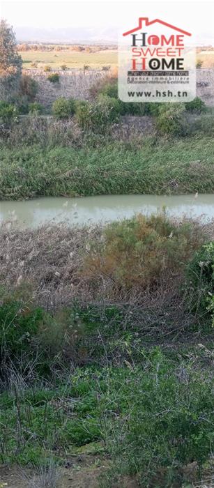 Mejez El Bab&nbsp;Mejez El Bab&nbsp;Terrain&nbsp;Terrain agricole&nbsp;Terrain agricole arvion � mjez el beb