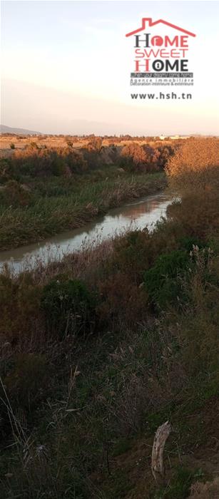 Mejez El Bab&nbsp;Mejez El Bab&nbsp;Terrain&nbsp;Terrain agricole&nbsp;Terrain agricole arvion � mjez el beb