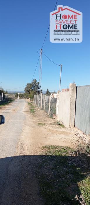 Borj El Amri&nbsp;Borj El Amri&nbsp;Terrain&nbsp;Terrain agricole&nbsp;Terrain agricole solix � borj el amri