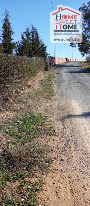 Borj El Amri&nbsp;Borj El Amri&nbsp;Terrain&nbsp;Terrain agricole&nbsp;Terrain agricole solix � borj el amri