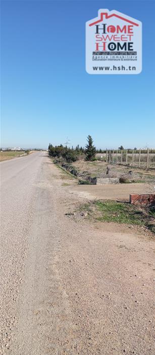 Borj El Amri&nbsp;Borj El Amri&nbsp;Terrain&nbsp;Terrain agricole&nbsp;Terrain agricole zayra � borj el amri