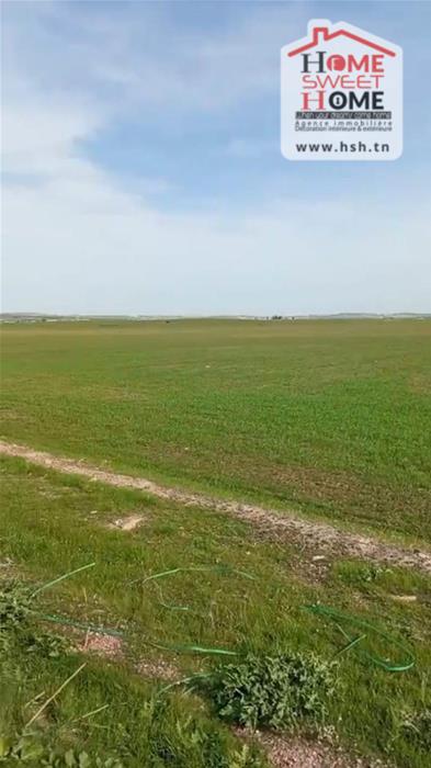 Mornaguia&nbsp;Mornaguia&nbsp;Terrain&nbsp;Terrain agricole&nbsp;Terrain agricole moyal � mornaguia