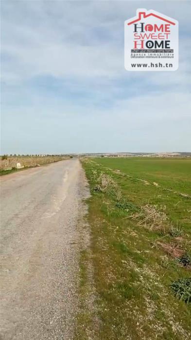 Mornaguia&nbsp;Mornaguia&nbsp;Terrain&nbsp;Terrain agricole&nbsp;Terrain agricole moyal � mornaguia