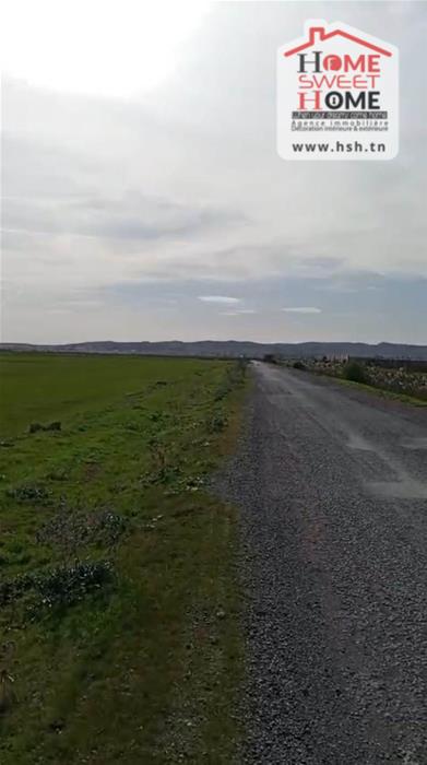 Mornaguia&nbsp;Mornaguia&nbsp;Terrain&nbsp;Terrain agricole&nbsp;Terrain agricole moyal � mornaguia