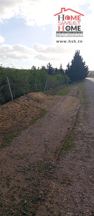 Borj El Amri&nbsp;Borj El Amri&nbsp;Terrain&nbsp;Terrain agricole&nbsp;Terrain agricole terava � borj el amri