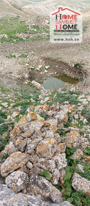 Mejez El Bab&nbsp;Mejez El Bab&nbsp;Terrain&nbsp;Terrain agricole&nbsp;Terrain agricole florva � mjez el beb