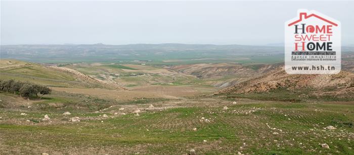 Mejez El Bab&nbsp;Mejez El Bab&nbsp;Terrain&nbsp;Terrain agricole&nbsp;Terrain agricole florva � mjez el beb