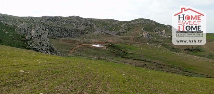 Mejez El Bab&nbsp;Mejez El Bab&nbsp;Terrain&nbsp;Terrain agricole&nbsp;Terrain agricole florva � mjez el beb