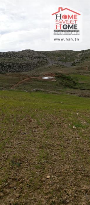 Mejez El Bab&nbsp;Mejez El Bab&nbsp;Terrain&nbsp;Terrain agricole&nbsp;Terrain agricole florva � mjez el beb