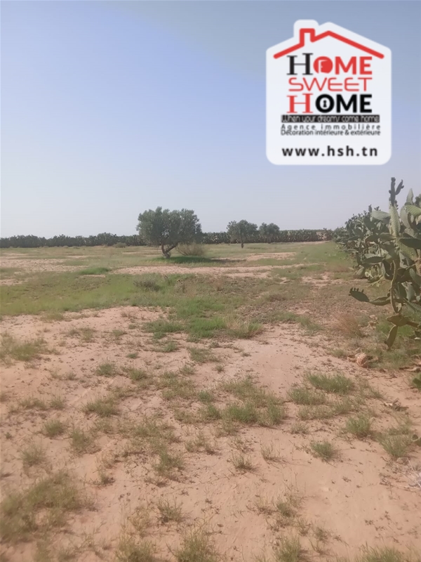 Sidi Aich&nbsp;Sidi Aich&nbsp;Terrain&nbsp;Terrain nu&nbsp;Terrain agricole tinal � sidi aich