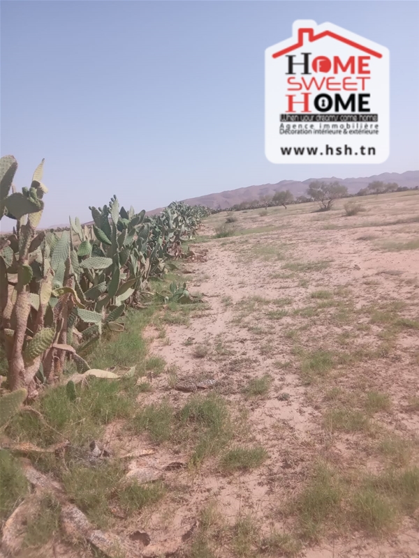 Sidi Aich&nbsp;Sidi Aich&nbsp;Terrain&nbsp;Terrain nu&nbsp;Terrain agricole tinal � sidi aich