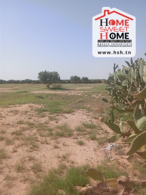 Sidi Aich&nbsp;Sidi Aich&nbsp;Terrain&nbsp;Terrain nu&nbsp;Terrain agricole tinal � sidi aich