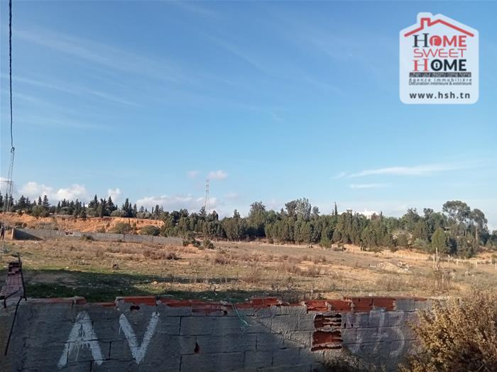 Hammamet&nbsp;Hammamet&nbsp;Terrain&nbsp;Terrain nu&nbsp;Terrain villa vilora bir bouregba hammamet