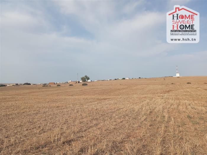 Mejez El Bab&nbsp;Mejez El Bab&nbsp;Terrain&nbsp;Terrain agricole&nbsp;Terrain agricole timo � mjez beb