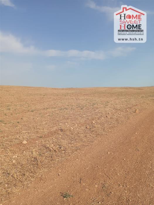 Mejez El Bab&nbsp;Mejez El Bab&nbsp;Terrain&nbsp;Terrain agricole&nbsp;Terrain agricole timo � mjez beb