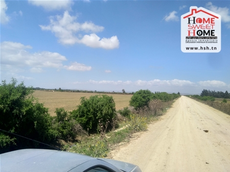 Sidi Thabet&nbsp;Chorfech&nbsp;Terrain&nbsp;Terrain agricole&nbsp;Terrain agricole guezmir � cherfech