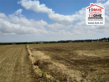 Sidi Thabet&nbsp;Chorfech&nbsp;Terrain&nbsp;Terrain agricole&nbsp;Terrain agricole guezmir � cherfech